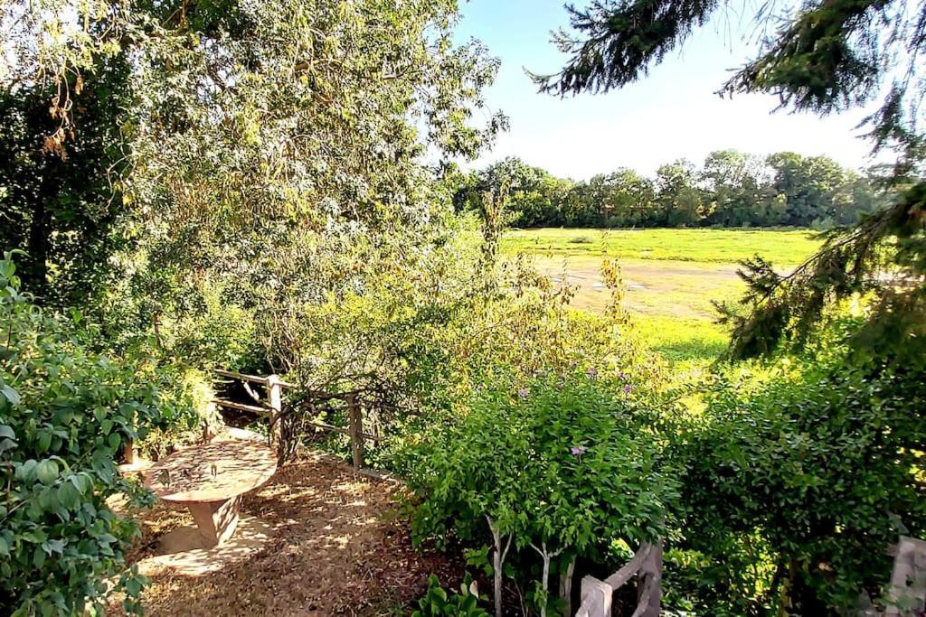 Le Bois Flotte - Maison Au Coeur De La Loire Entre Ville Et Nature Saumur Buitenkant foto